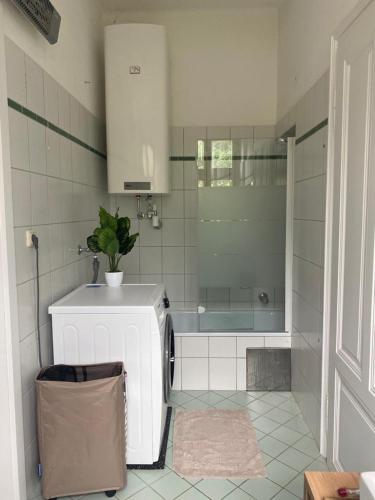 a bathroom with a sink and a washing machine at Ferienappartment zum grünen Hirsch in Bad Ischl