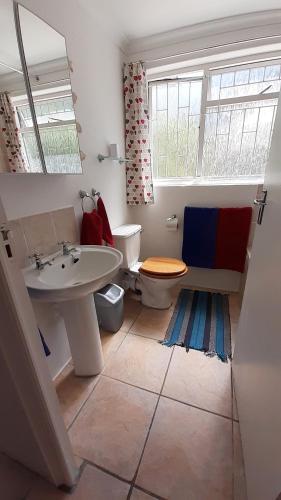a bathroom with a sink and a toilet and a window at Self catering Holiday Apartment in Glencairn