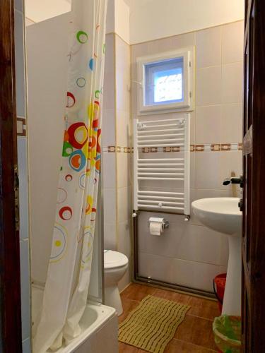 a small bathroom with a toilet and a sink at Casa Zmeilor in Tăşnad