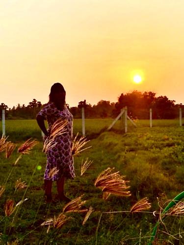 a woman standing in a field at sunset at Marutham Village Resort in Mahabalipuram