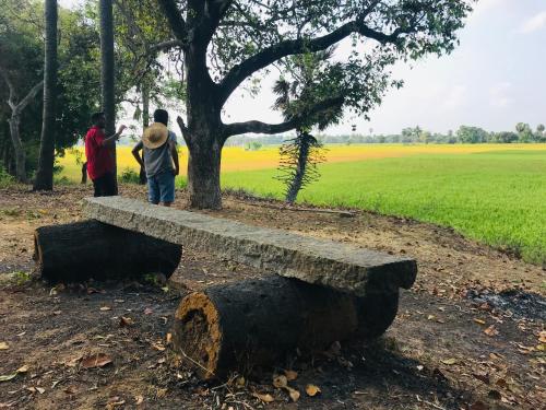 two people standing next to a stone bench next to a tree at Marutham Village Resort in Mahabalipuram