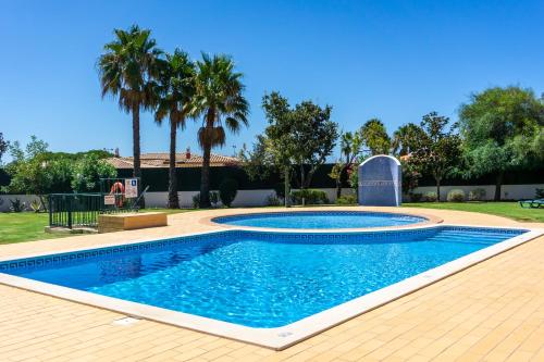 een zwembad in een tuin met palmbomen bij Casa da Costa in Carvoeiro