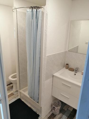 a bathroom with a shower with a sink and a toilet at Villa Sérénité in Allassac