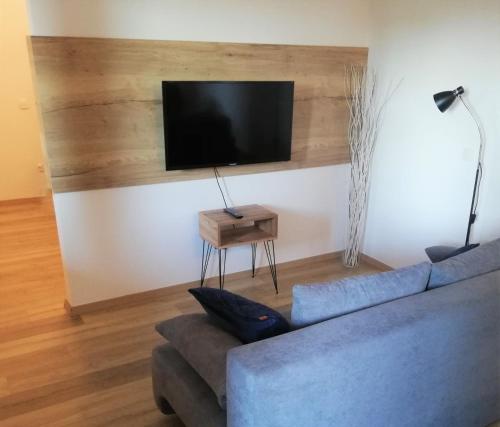 een woonkamer met een blauwe bank en een flatscreen-tv bij Apartment Leggero in Moravske-Toplice