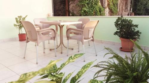 Fotografie z fotogalerie ubytování Guest House Zadeja v destinaci Shkodër