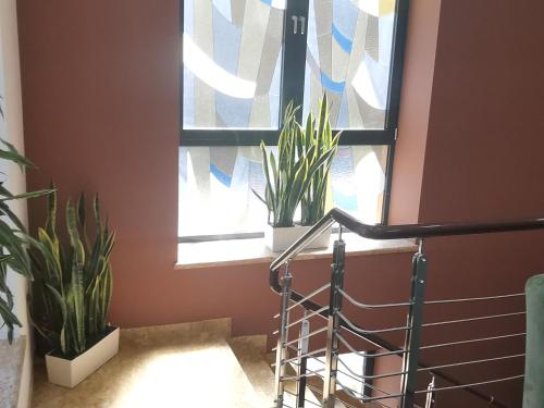 a stairwell with plants in a window with a staircase at Bonjour Boutique Hotel Yerevan in Yerevan