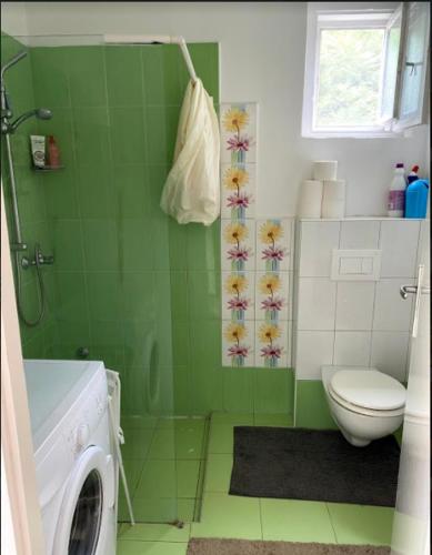 a green bathroom with a toilet and a washing machine at Pipacs in Balatonszárszó