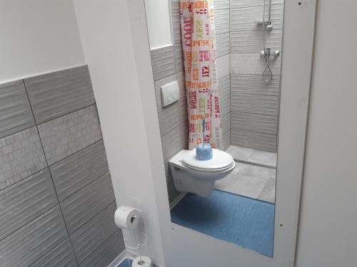 a small bathroom with a toilet and a shower at Casa ENRICO in Antwerp