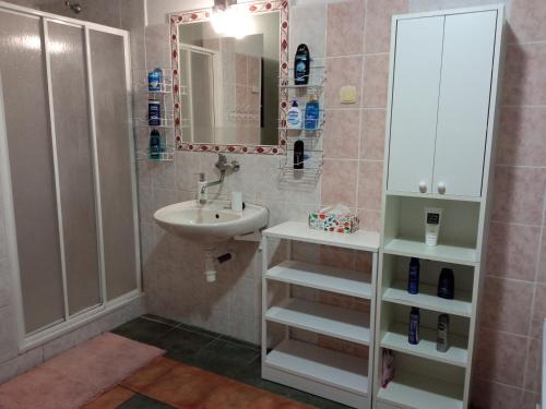 een badkamer met een wastafel en een spiegel bij Celý rodinný dům na venkově in Kouřim