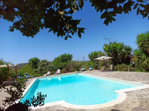 una piscina en un patio con sillas y árboles en Il Melograno, en Campanedda
