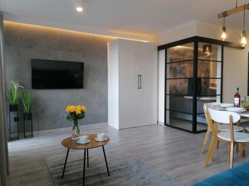 TV a/nebo společenská místnost v ubytování Apartament widokowy ul Bukowa Wisła
