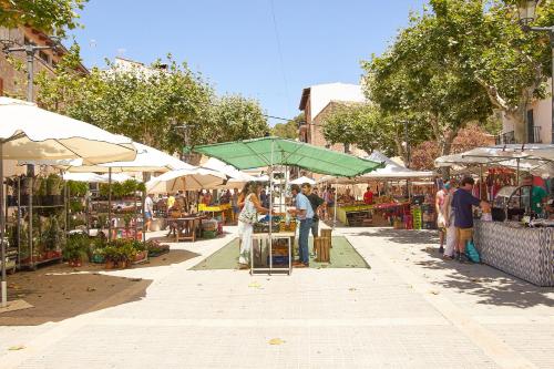 Vila Alaró TI
