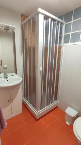 a bathroom with a shower with a toilet and a sink at Apartamento Vacaciones Granada in Granada