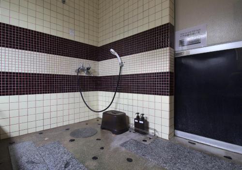Koupelna v ubytování Izumo guesthouse itoan