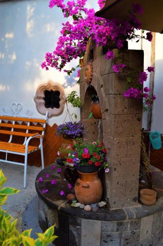 Κήπος έξω από το Posada y Spa Jade Teotihuacan