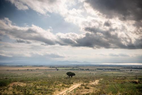 Un paisaje natural cerca de la casa vacacional