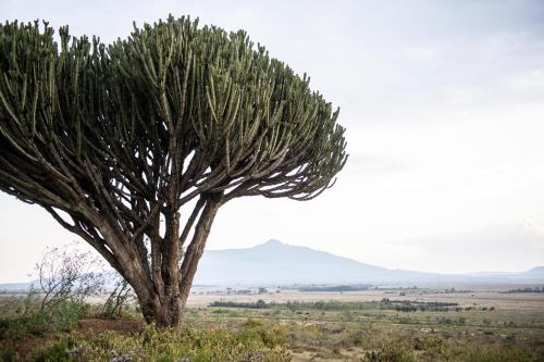 Un paisaje natural cerca de la casa vacacional