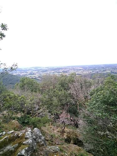 Gallery image of Camping La Forêt du Morvan in Larochemillay