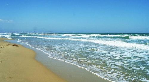 a beach with the ocean and the shoreline at Nuestra Casa en Gran Alacant in Gran Alacant