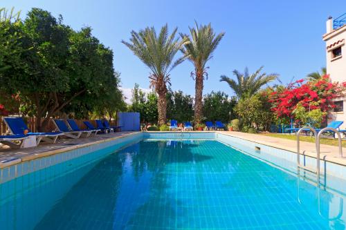 波利斯的住宿－Follow The Sun Hotel Apartments，一个带蓝色椅子的游泳池,棕榈树
