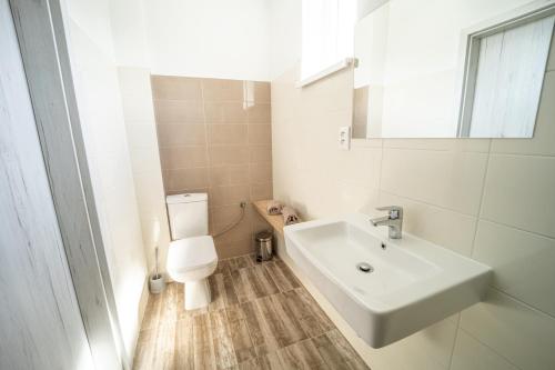 a white bathroom with a sink and a toilet at Ubytovanie AGATE in Podhájska