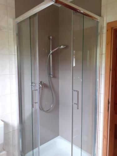 a shower with a glass enclosure in a bathroom at Ferienhaus Grabs in Lichtenhain
