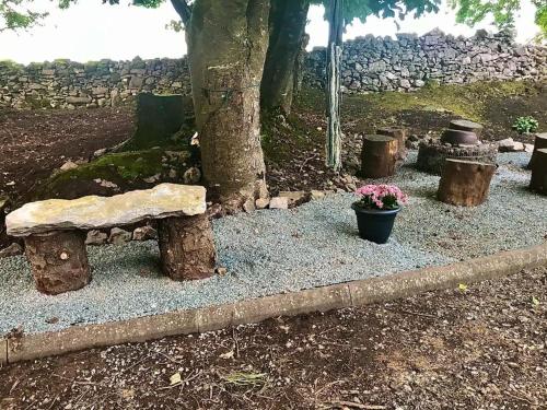 a stone bench sitting next to a tree with flowers at Birch Tree Cottage in Westport