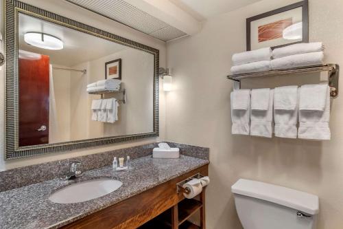 a bathroom with a sink and a toilet and a mirror at Comfort Inn & Suites Athens North in Athens