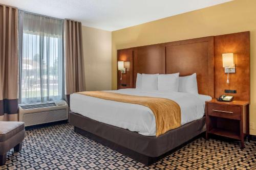 Gallery image of Comfort Inn & Suites in Athens