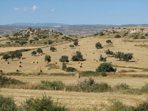 a large field with hay bales on it at Hill View Hotel Apartments in Pissouri