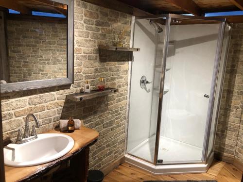 a bathroom with a shower and a sink at Double G Ranch & Guestlodge in Montrose