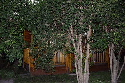 a building with a fence behind two trees at Mad About Saffron in Stormsrivier