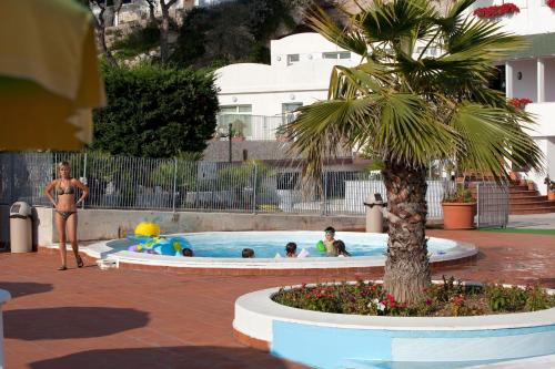 a group of people in a swimming pool with a palm tree at Morcavallo Hotel & Wellness in Peschici