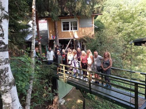 Huéspedes de tree house