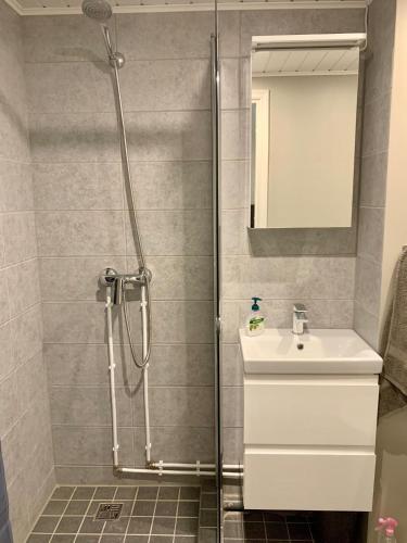 a bathroom with a shower and a sink at Sepa Apartment in Valga