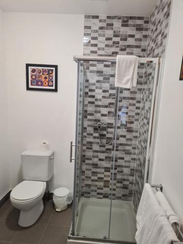 a bathroom with a shower with a toilet and a sink at Ely House B&B in Shannonbridge