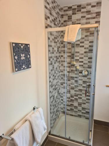 a shower with a glass door in a bathroom at Ely House B&B in Shannonbridge