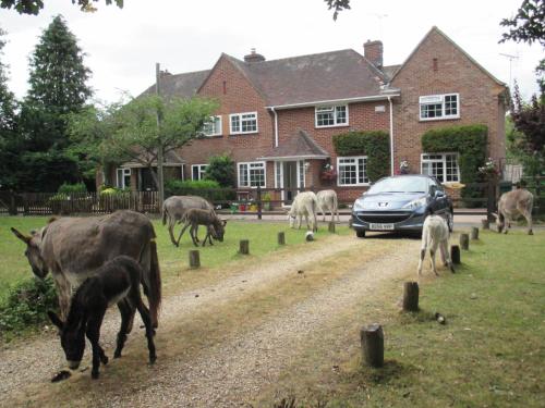 Gallery image of Hops Main House, Brockenhurst, New Forest in Brockenhurst
