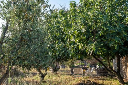 a chair sitting under some trees in a field at Podere Pruneto in Radda in Chianti