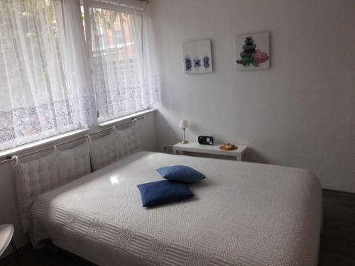 sypialnia z białym łóżkiem z niebieskimi poduszkami w obiekcie Ferienhaus Gregor w mieście Birkenwerder
