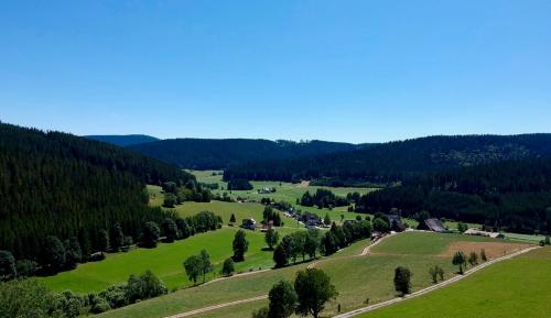 a view of a green valley with trees at Landgasthof Jostalstüble in Titisee-Neustadt