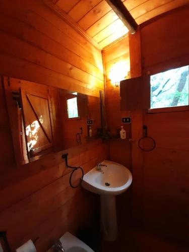 łazienka z umywalką i toaletą w obiekcie Agriturismo Monte Cesima w mieście Sesto Campano