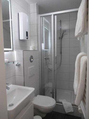 y baño con ducha, aseo y lavamanos. en Loreley Lounge en Patersberg