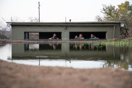 a group of people looking out of the windows of a house at Antares Bush Camp & Umgede Hide in Grietjie Nature Reserve