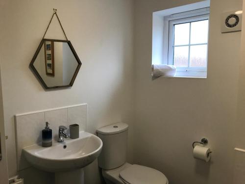 ein Bad mit einem WC, einem Waschbecken und einem Fenster in der Unterkunft Salcombe House in Stockton-on-Tees