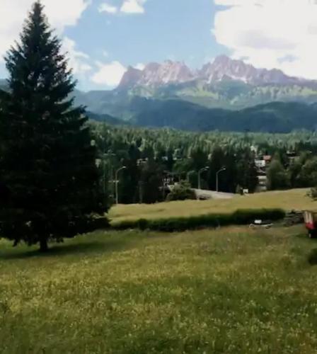 a tree in a field with a mountain in the background at CASA VACANZE MIRAMONTI - appartamento con balcone con vista sulle Dolomiti in Borca di Cadore