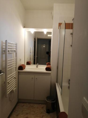 a bathroom with a sink and a shower and a mirror at Le Fleur"H"on 11 d'Honfleur, T2 en Résidence avec Piscine, WIFI et Parking gratuits in Équemauville