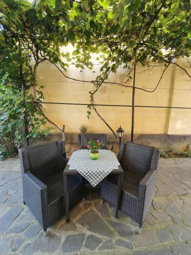 two wicker chairs and a table with a plant on it at Pensiunea Iris in Sighetu Marmaţiei