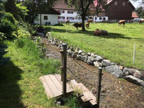 a group of cows grazing in a field with a fence at Die Dirndlkönigin in Grünenbach