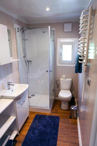 a bathroom with a shower and a toilet and a sink at NaposOldal Vendégház in Tapolca